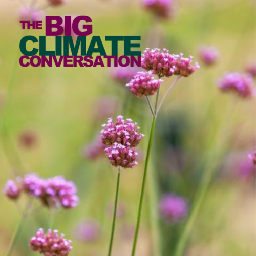 big climate conversation with purple flowers