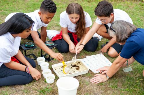 Children around a tray exploring soil